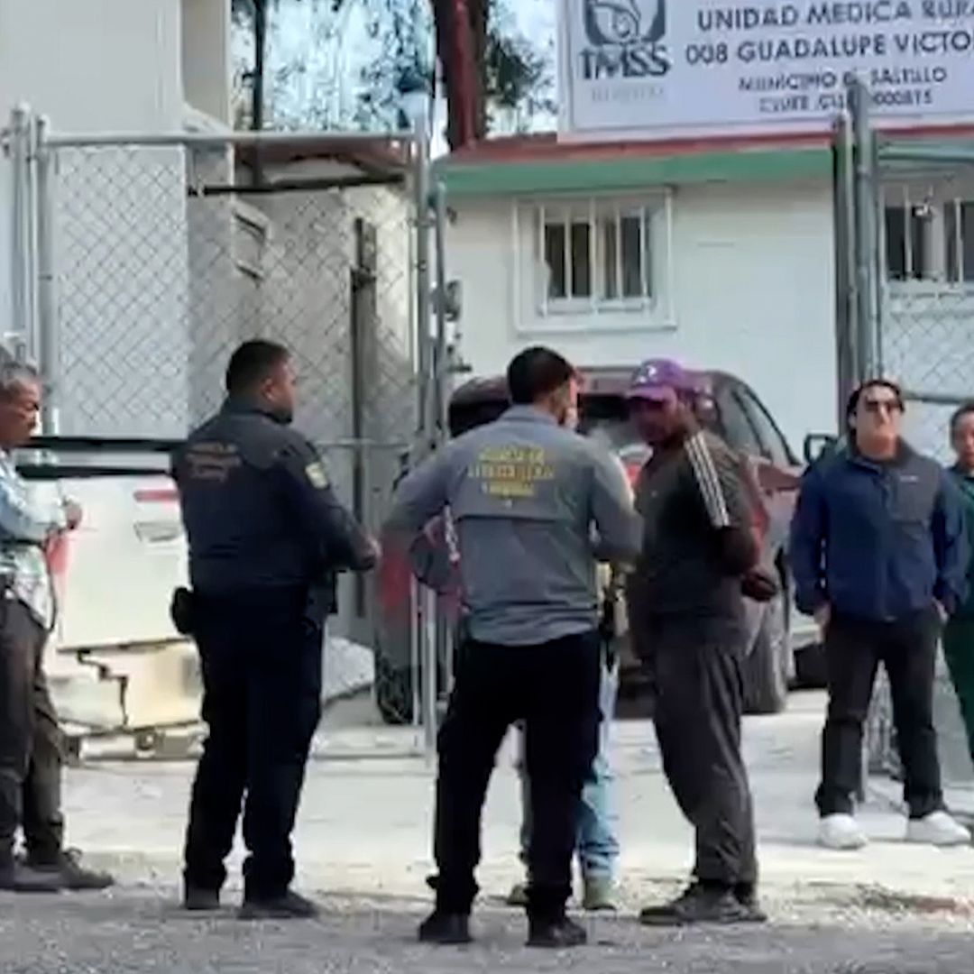 Muere Adulto Mayor al Ser Atacado por Abejas en Saltillo